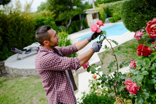 Gardener preparing tools for lawn care