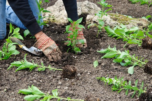 Volunteers loading reusable soil and plants for a local charity project