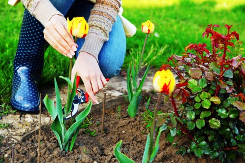 Close-up of garden tools with high contrast labels for accessibility
