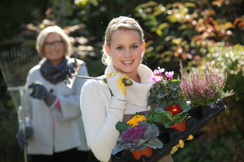 Expert garden care services offered in Wimbledon